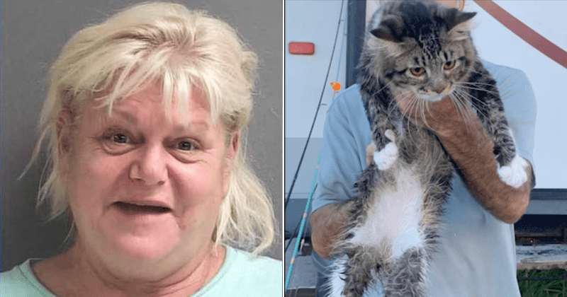 Florida woman Christa Thistle, 53, threw pet cat into river after fight with ex-lover