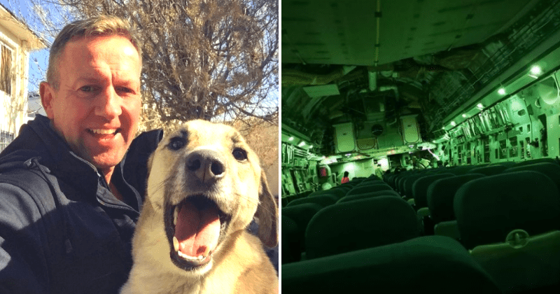 Paul Farthing: Ex-Marine may have to 'put down' animals in Kabul if disallowed to fly