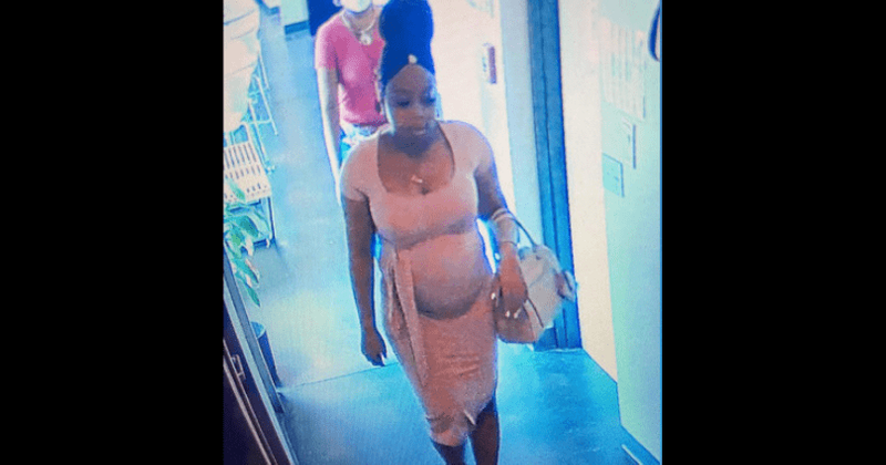 Yarianna Wheeler: Pregnant Chicago teen's body found in Lake Michigan
