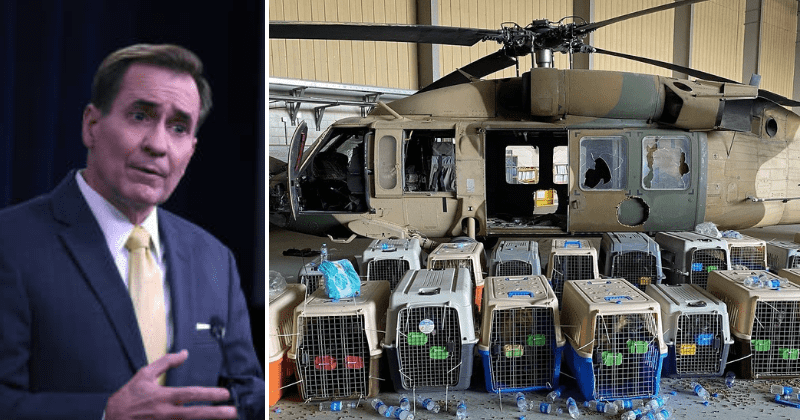 K-9 Hoax: TRUTH behind viral reports that US left behind service dogs in Kabul