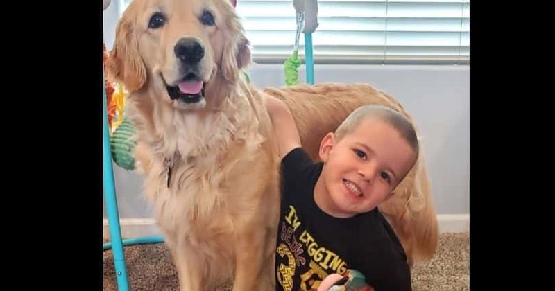 Derek Thebo: Michigan dad kills son, 3, and himself amid bitter divorce