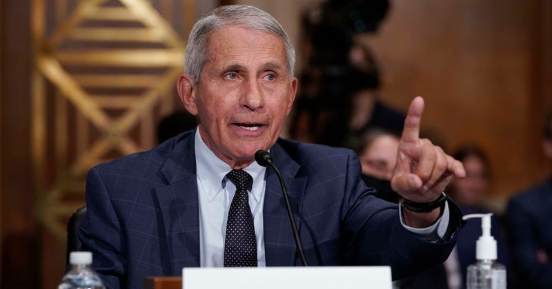 Will Anthony Fauci be jailed? Rand Paul says 'Fauci lied again' about Wuhan lab funds