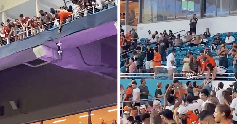 Miami Hurricanes fans catch falling cat in American flag during game in chilling video
