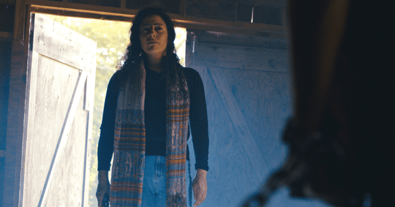 'American Insurrection': Release date, spoilers and all about dystopian thriller