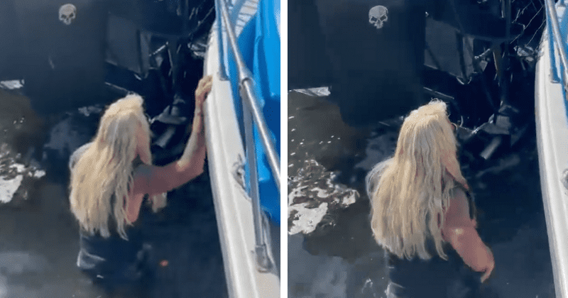 Dog the Bounty Hunter gets into swamp water in Brian Laundrie search, gets slammed for 'gimmick'