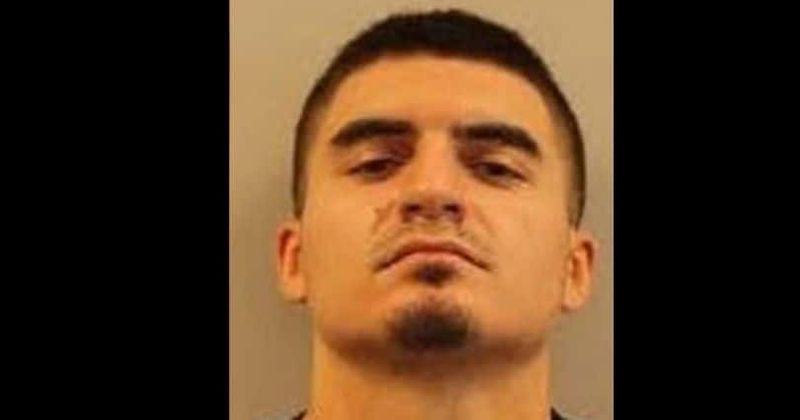 Matthew Savinovich: NJ man kills ex-lover's 3 dogs and ferret, faces 5 years in jail