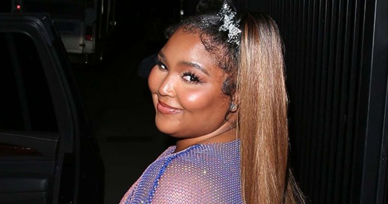 Lizzo fat-shamed for wearing see-through purple gown at event: 'Grossly obese'