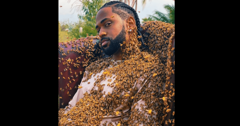 Big Sean 'What a Life': Rapper poses with 65,000 bees, fans say he ‘lost his mind’