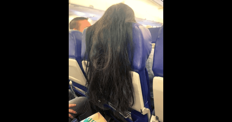 'Rude' flyer draws ire after draping hair over her seat and tray table behind