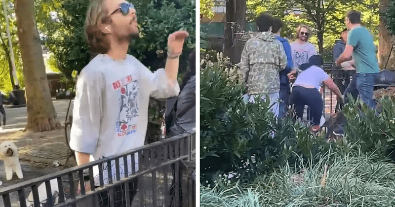 Nathaniel Direnzo: Clip shows kids hurling dirt at dogs before he attacked girl