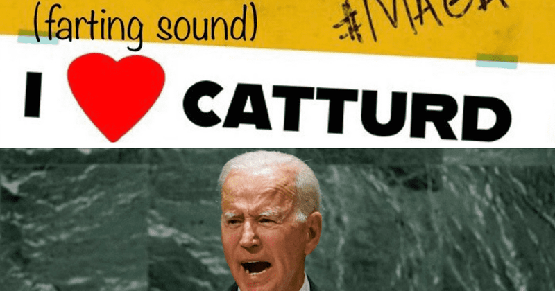 Is Catturd responsible for 'Poopy Pants Biden' viral trend? Twitter account owns up