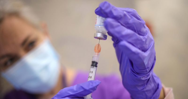 What is luciferase? Conspiracy theorists spread false claims of tracker in vaccine