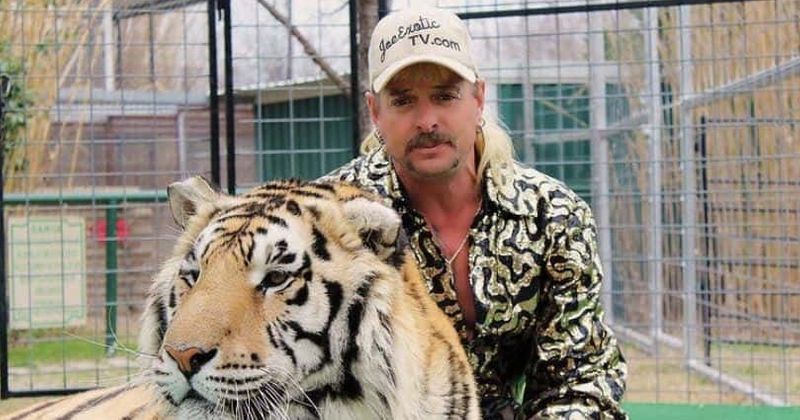 Netflix 'Tiger King 2': 5 things to know about Joe Exotic and other big cat owners