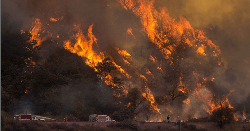 Deadly California wildfire has become the largest in state's history
