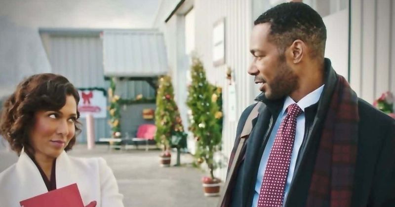 'Baking Spirits Bright': 5 things you need to know about Dion Johnstone and cast