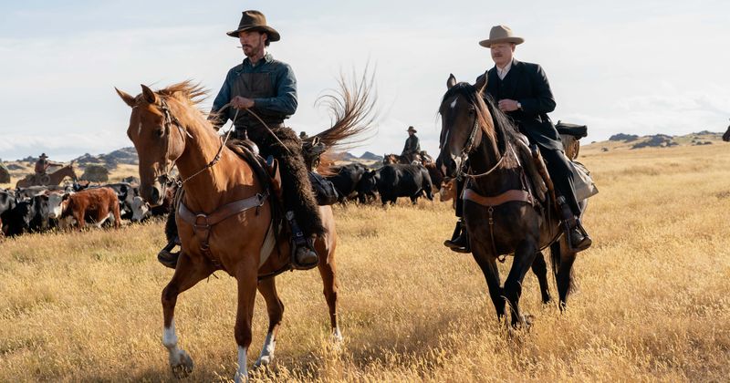'The Power of the Dog': 5 things to know about Benedict Cumberbatch's western drama