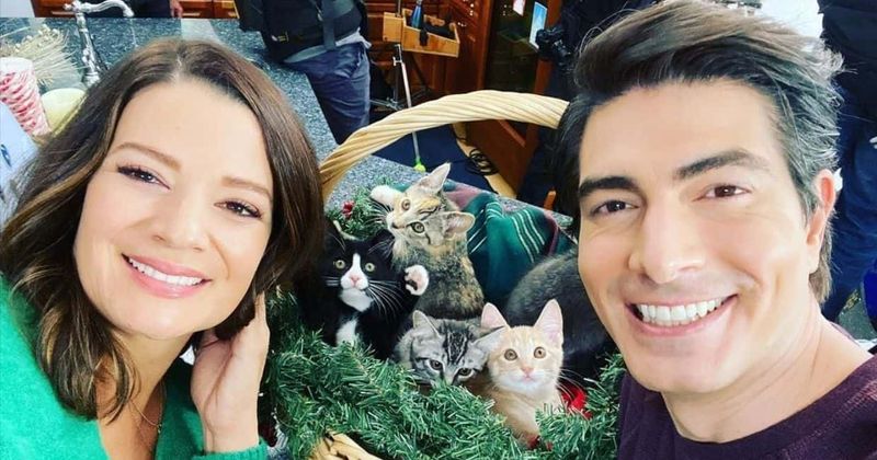 'The Nine Kittens of Christmas' on Hallmark: 5 things to know about Kimberley Sustad