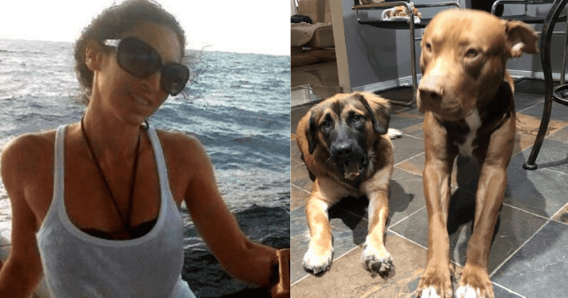 Tiffany L Frangione: Houston woman dies after being mauled by her own dogs
