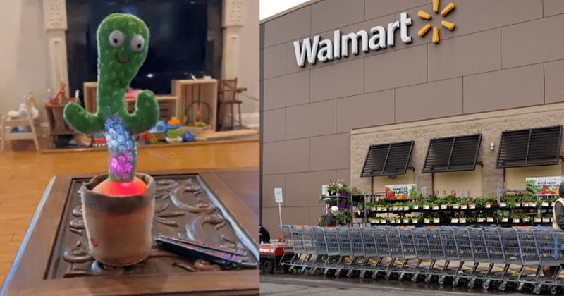 CACTUS CRACK! Walmart removes dancing toy that sings about smoking cocaine, suicide