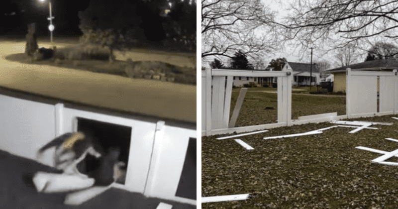'Kool-Aid man challenge': Youngsters crash through fences in destructive TikTok trend
