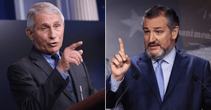 ‘Great way to end weekend’: Internet rejoices over Fauci’s takedown of Sen Ted Cruz