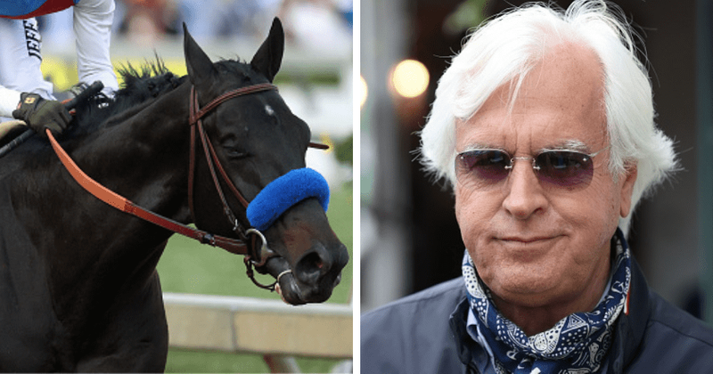 How did Medina Spirit die? Horse racing fans call for trainer Bob Baffert's suspension
