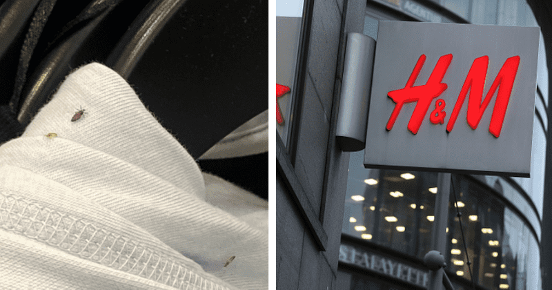 H&M employee's photos showing LICE crawling on rack of hoodies in NY outlet go viral