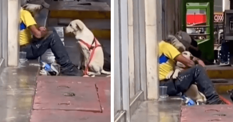 Internet gets teary as heartbreaking video of dog hugging homeless man goes viral