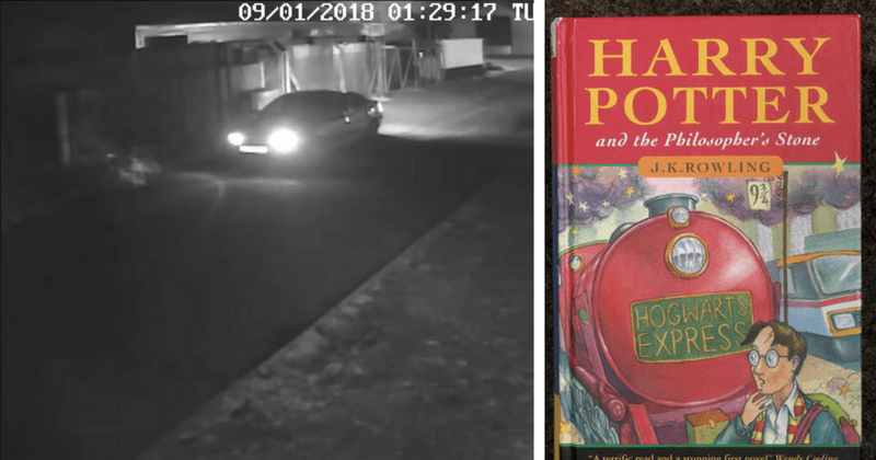 Mischief Managed: Thieves in Norfolk steal £40,000 1st edition of Harry Potter among 13 other rare books