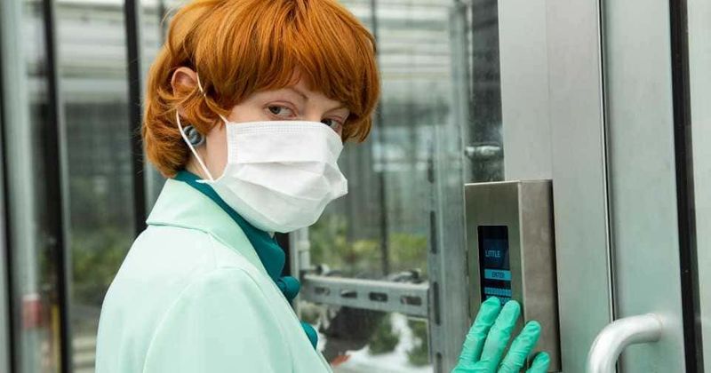 
                            
                            
                            
                            'Little Joe': fecha de lanzamiento, trama, reparto, tráiler y todo lo que necesitas saber sobre el drama de ciencia ficción protagonizado por Emily Beecham