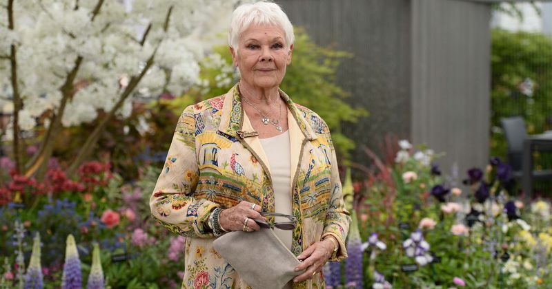 
                            
                            
                            
                            La estrella de 'Cats' Judy Dench dice que le encanta interpretar un papel tradicionalmente masculino: 'Yo lo llamo trans-Deuteronomio'