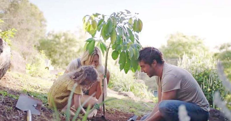 
                            
                            
                            
                            '2040': fecha de estreno, trama, tráiler y todo lo que necesitas saber sobre el documental sobre el cambio climático