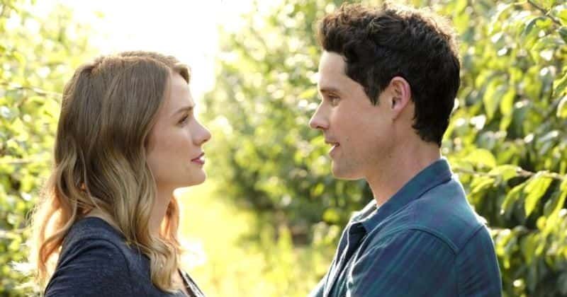 
                            
                            
                            
                            'Love Under the Olive Tree': fecha de lanzamiento, trama, reparto, tráiler y todo lo que necesitas saber sobre la próxima película romántica de Hallmark