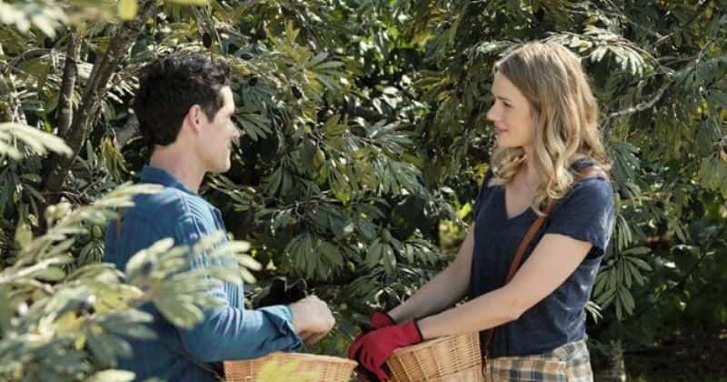 
                            
                            
                            
                            'Love Under the Olive Tree': Conoce al elenco de la película romántica de Hallmark sobre dos mejores amigos