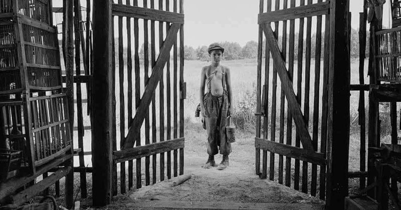 
                            
                            
                            
                            'The Painted Bird': fecha de lanzamiento, trama, reparto, tráiler y todo lo que necesitas saber sobre el controvertido drama de la Segunda Guerra Mundial