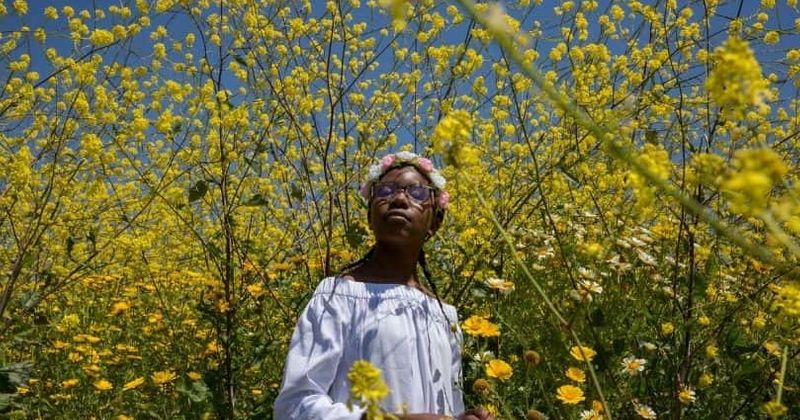 
                            
                            
                            
                            Revisión de 'A Love Song For Latasha': el documental corto de Netflix es un conmovedor homenaje a la víctima de 15 años de violencia racial