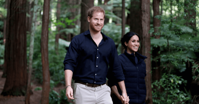 Harry and Meghan 'not working members of royal family', says Buckingham Palace amid row over US election remarks