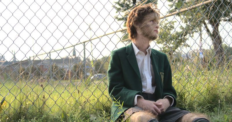 
                            
                            
                            
                            Revisión de 'The True Adventures of Wolfboy': la conmovedora historia de inadaptados ve a Jaeden Martell vencer al malvado John Turturro