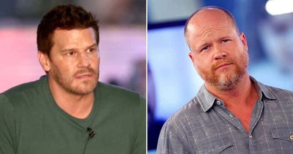 Why did David Boreanaz delete all his Instagram posts? 'SEAL Team' actor urged to address Joss Whedon abuse - Vimarsana News