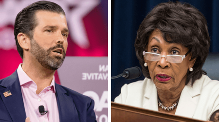 Donald Trump Jr mocks Maxine Waters after stock market comments over GameStop controversy: 'Downright insane'