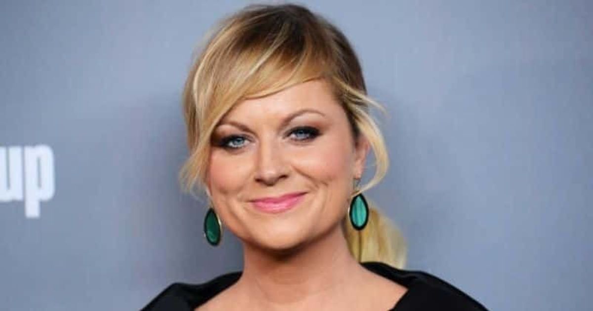What is Amy Poehler's net worth? Comedian enjoys private life with sons in $3.6M renovated Beverly Hills home - Vimarsana News