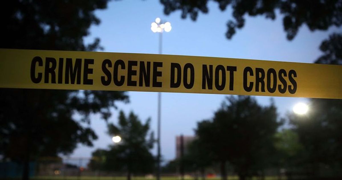 Who is Pushkar Sharma? Queens man sexually abuses, strangles mother, 65, to death day before Mother's Day - Vimarsana News
