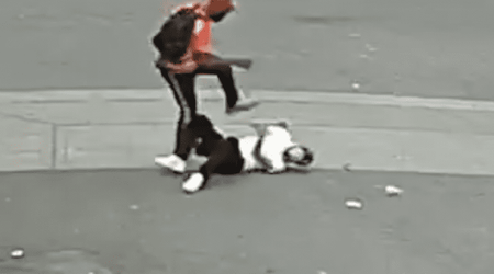 Who is Caliber Visuals? Photographer, 22, robbed and brutally beaten in Seattle during holiday