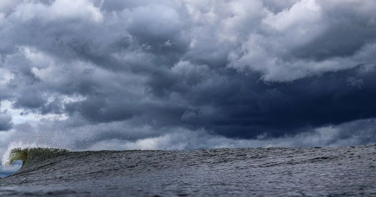 Which places are at risk from Tropical storm Fred? Florida told to 'review disaster plans' - Vimarsana News