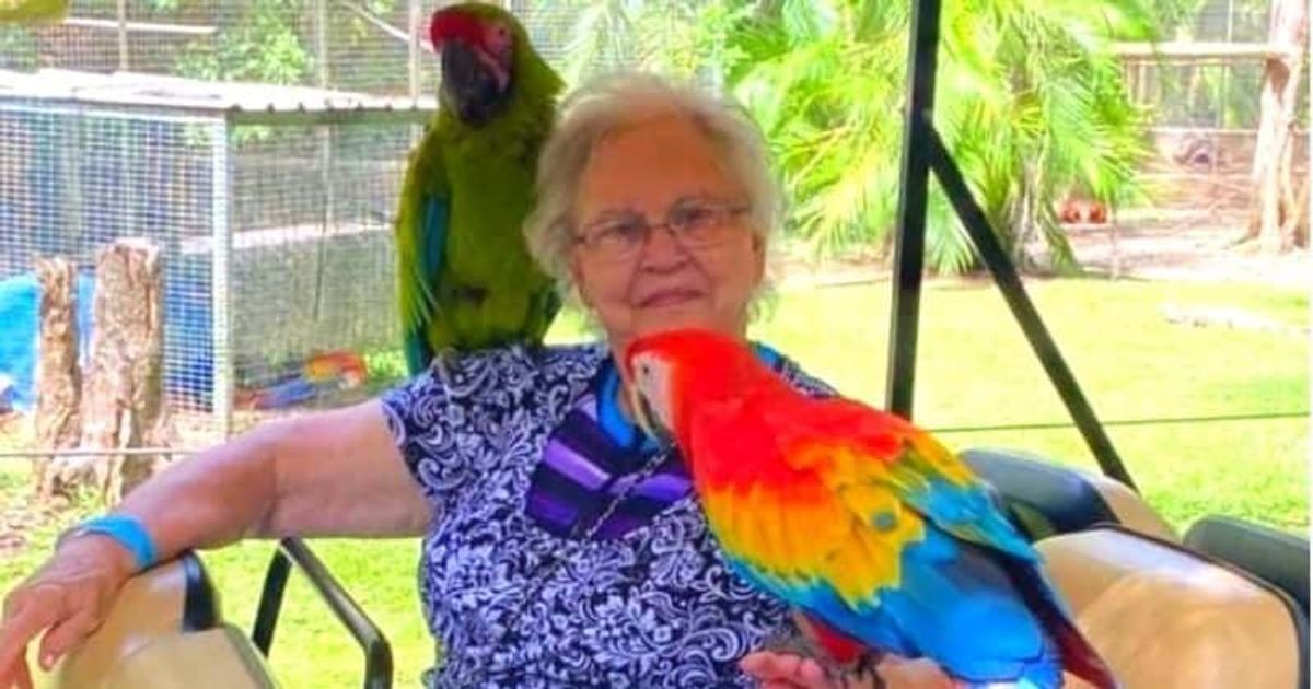 Carnival cruise passenger Marilyn Tackett, 77, dies of Covid-19 amid outbreak on ship - Vimarsana News