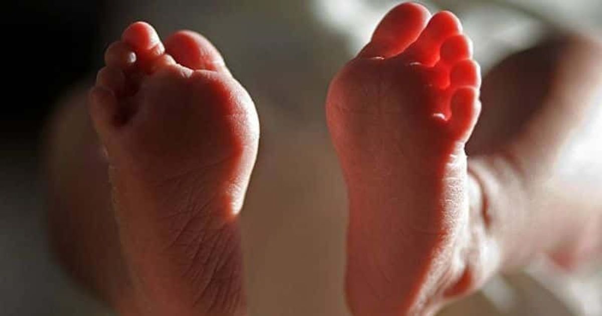 Soman Noori: Baby girl Havva born on Afghan evacuation flight to UK - Vimarsana News