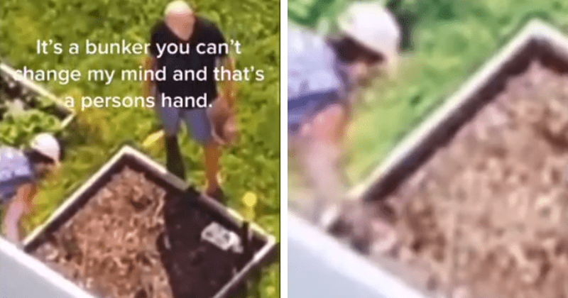 
                            
                            
                            
                            TikTokers afirma que la madre de Brian Laundrie se acerca a un macizo de flores en un video viral