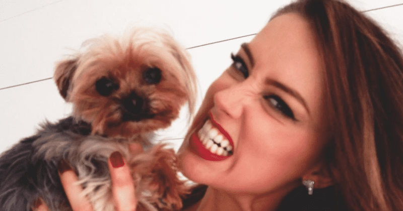 
                            
                            
                            
                            ¿Amber Heard irá a la cárcel?  En Australia, reabre el caso de tráfico de perros de 2015