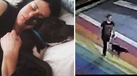 Who killed Katherine Janness? Atlanta woman, 40, brutally stabbed over 50 times