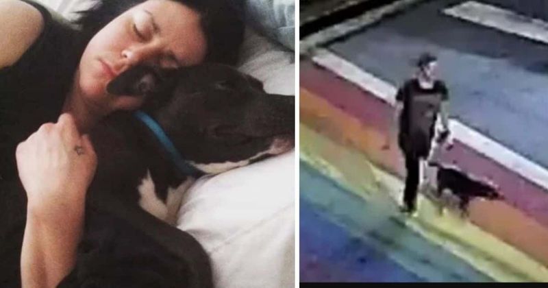 
                            
                            
                            
                            ¿Quién mató a Katherine Janness?  Mujer de Atlanta, de 40 años, brutalmente apuñalada más de 50 veces